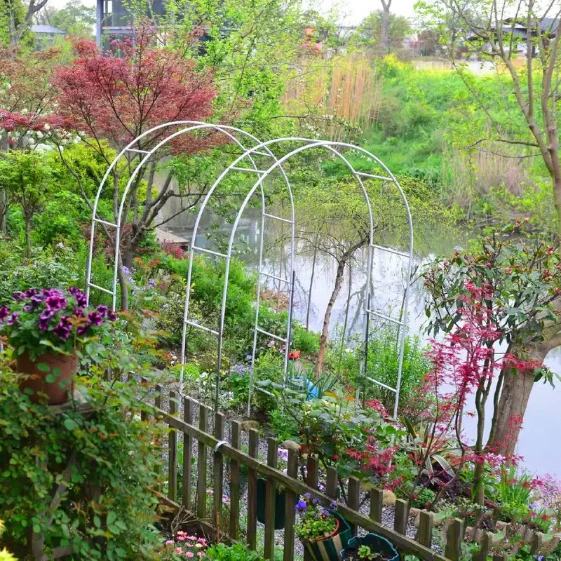 室外铁艺拱门花架蔷薇爬藤架子支架藤月葡萄花架