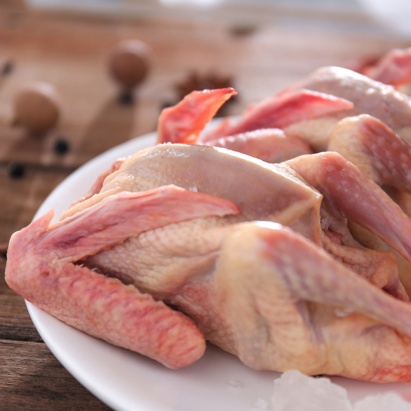 现杀活体土鸽农家散养杂粮喂养新鲜鸽肉包邮购3只单只鸽子肉