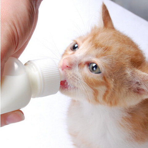 奶瓶宠物幼猫奶猫专用奶嘴小猫用的喂奶器软饮水器