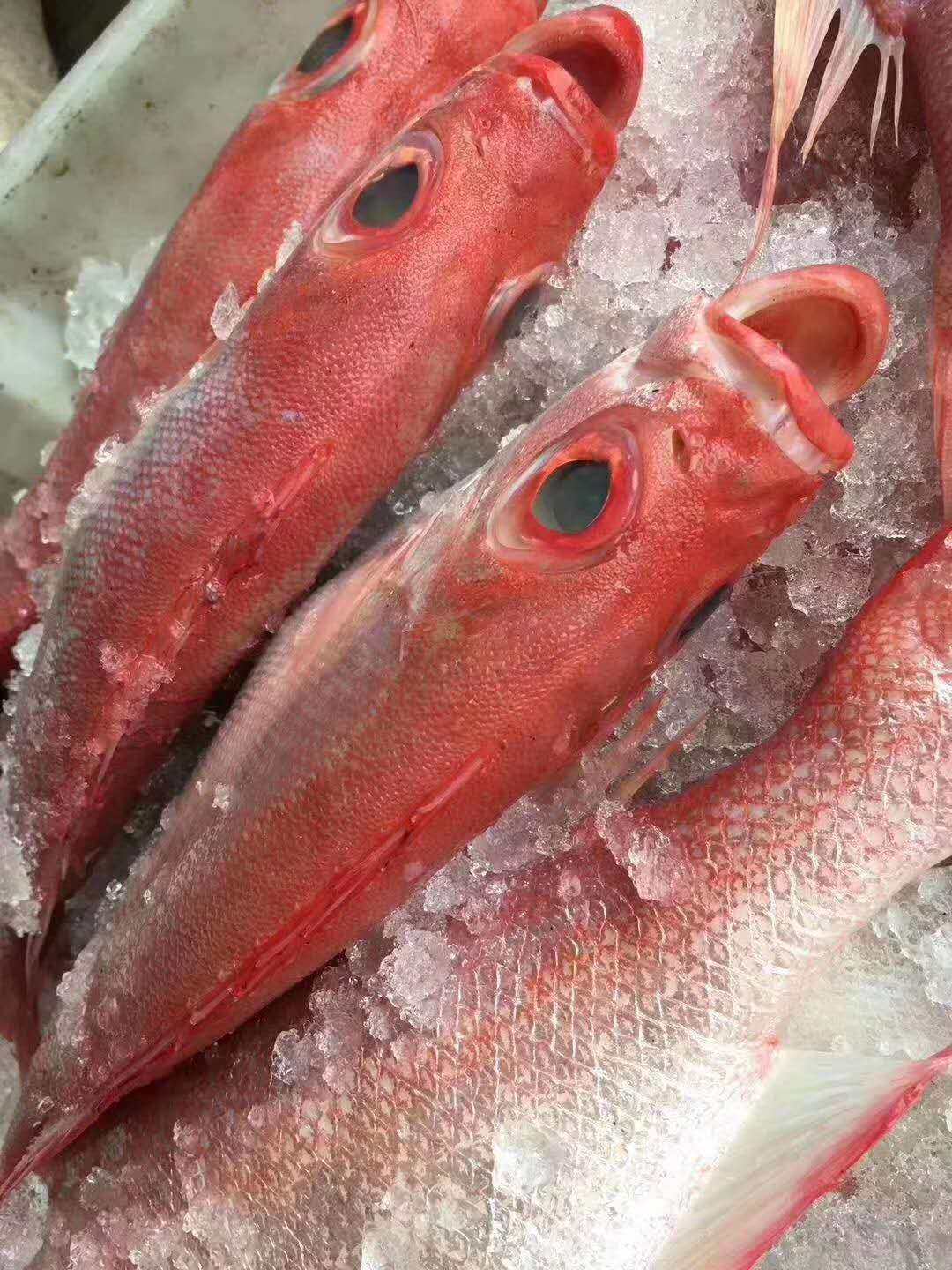 深海水产海鲜海鱼鱼深红目鲢鱼野生鲜红新鲜红比目鱼