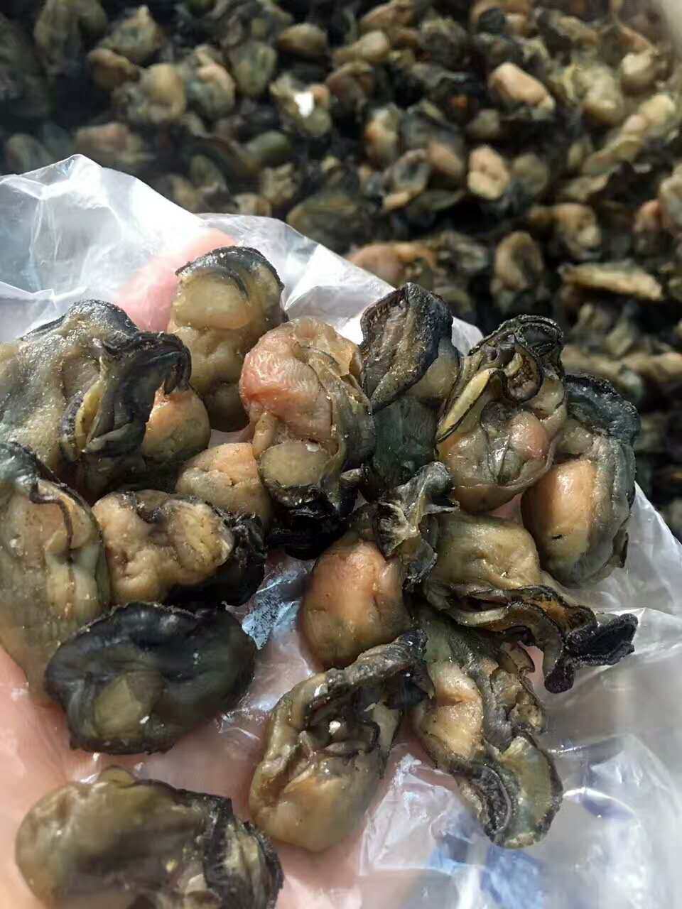 牡蛎包邮北部湾特产海蛎干蛎生蚝干250g肉海干货生蚝