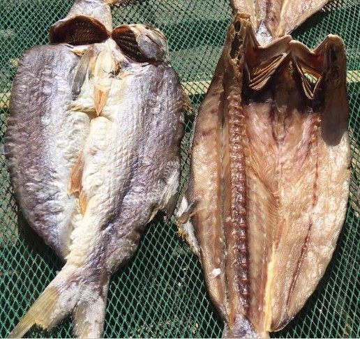 鱼干马友干货徐闻咸鱼野生天然湛江2500g其它