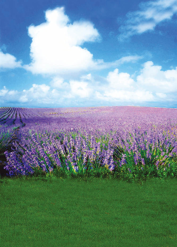 儿童背景布拍照摄影背景布摄影布婚纱背景布电动轴背景主播快手31