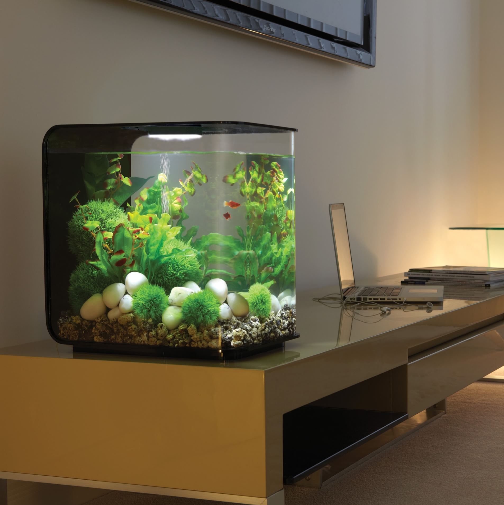 biorb30l桌面创意亚克力鱼缸迷你观赏长方形水族箱生态鱼缸