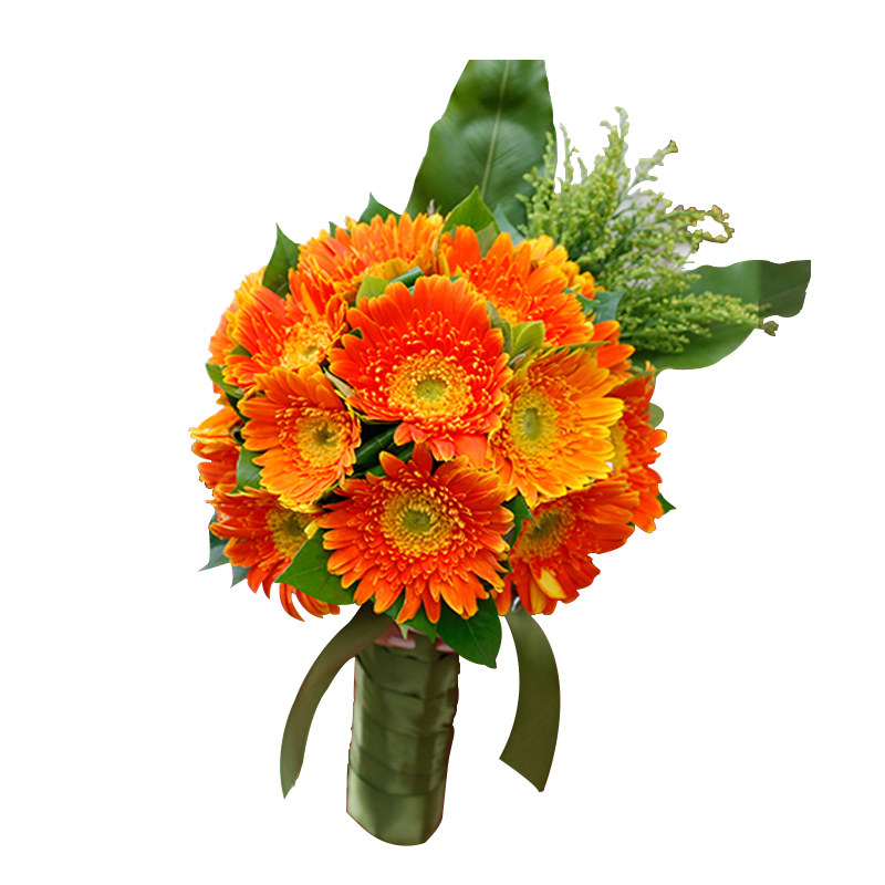 新娘手捧非洲菊太阳花结婚婚礼婚庆鲜花同城速递新娘手捧花