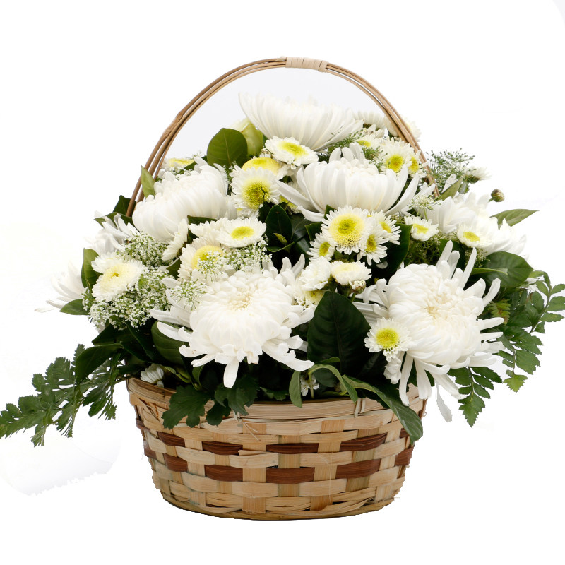 黄白菊花鲜花手提花篮花束扫墓祭奠祭祀追悼追悼