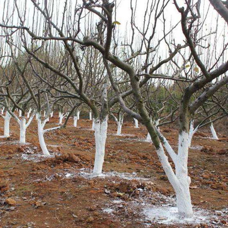 涂白园林树木公园绿化道路大树树干果树刷白其它园艺用品