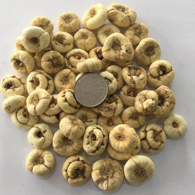 贝母大川中药材供应四川米贝川贝尖贝500g克包川贝