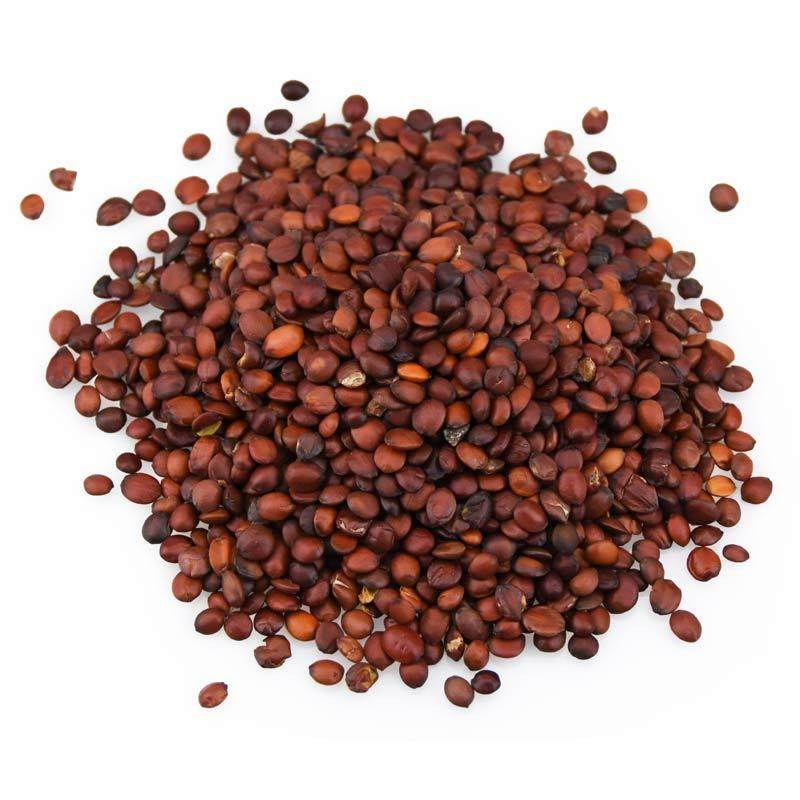 生枣仁 2斤包邮 滇枣仁 生酸枣仁 枣仁 中药材初级农产品 500g克