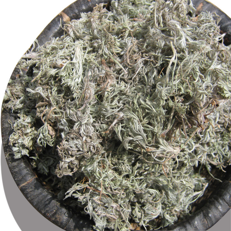 绵茵陈5斤包邮白蒿草茵陈棉茵陈因陈蒿中药材500g克10元