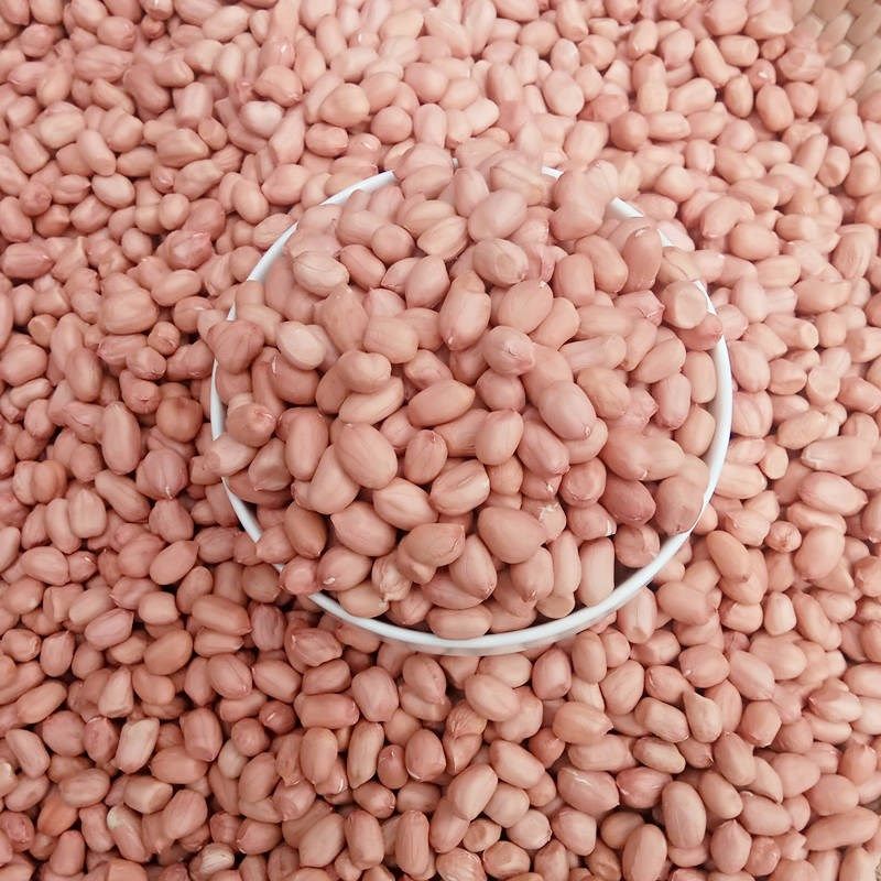 花生米花生新花农家自种干花5斤3斤1斤新鲜花生