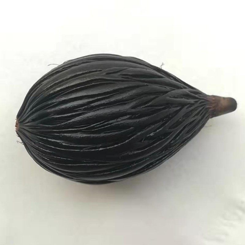 挂件菩提千丝原籽狐尾椰子种子手把diy汽车佛珠