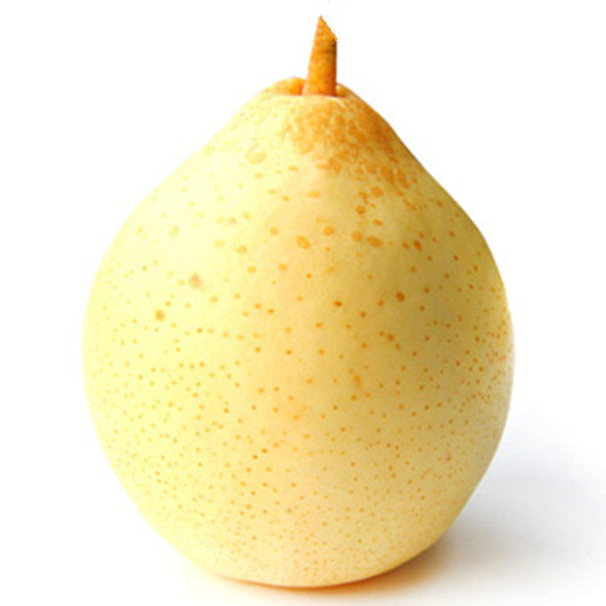 河北赵县大鸭梨5斤包邮曾用商标天津大鸭梨 非赵州雪花梨皇冠梨