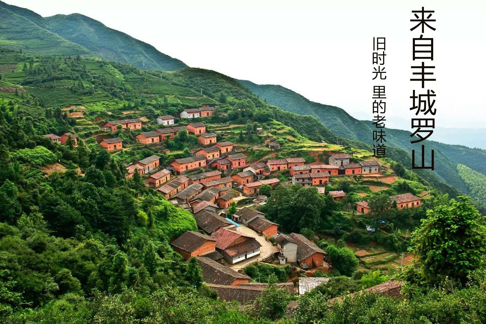 江西特产宜春丰城罗山君峰茶油豆腐乳礼盒农家辣椒酱