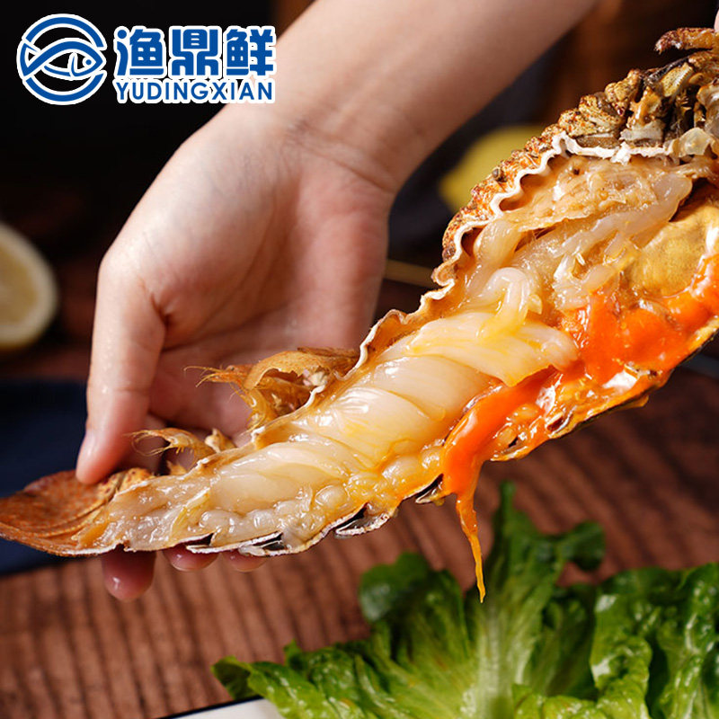 鲜活鲜活缅甸犀牛虾500g只琵琶虾新鲜海捕虾肉质细嫩可闪送