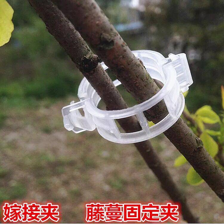 夹子固定枝条绑蔓夹吊吊蔓夹扶蔓夹西葫芦落秧其它园艺用品