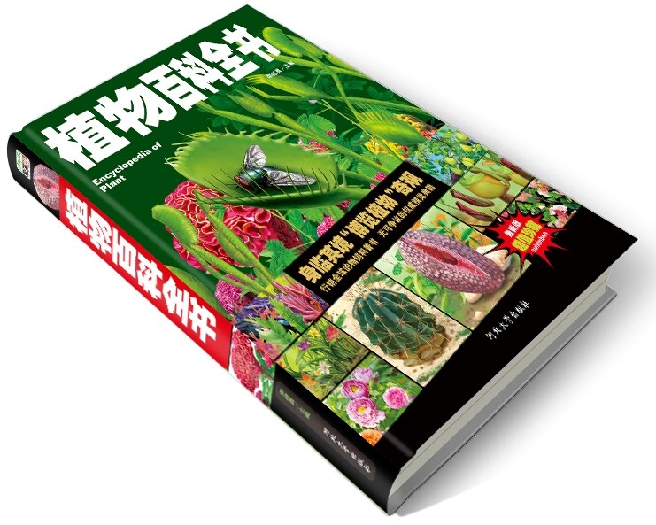 植物百科全书精装彩绘彩图青少年百科大全少儿大百科全书科普百科