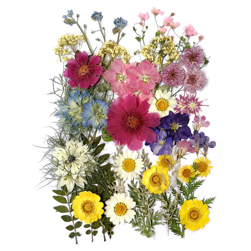 干花包滴胶植物手工花瓣真花台灯团扇材料包套装干花