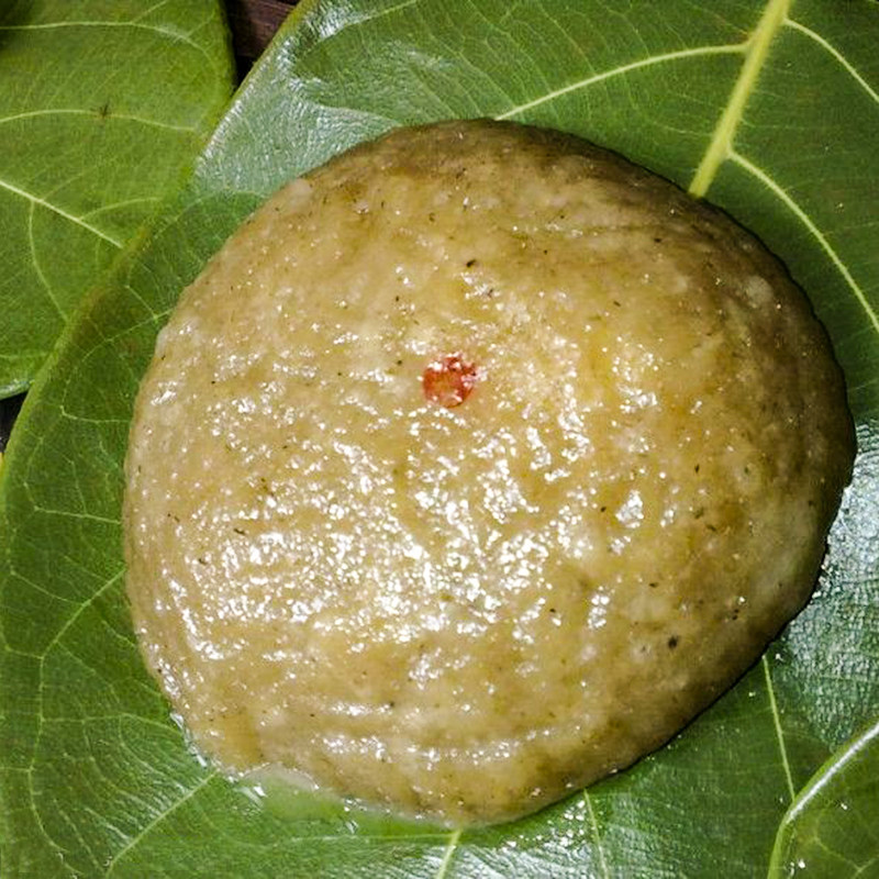 五十广东现摘新鲜菠萝蜜叶子树菠萝叶片过节包糍粑其它