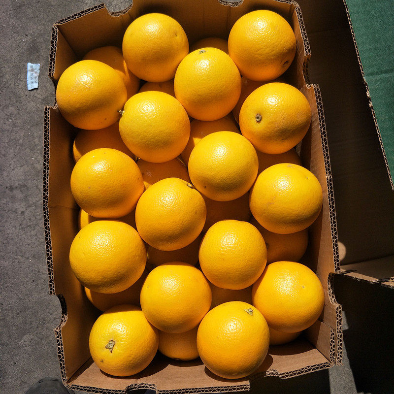 埃及进口橙子30斤整箱新鲜水果果奶茶店榨汁橙
