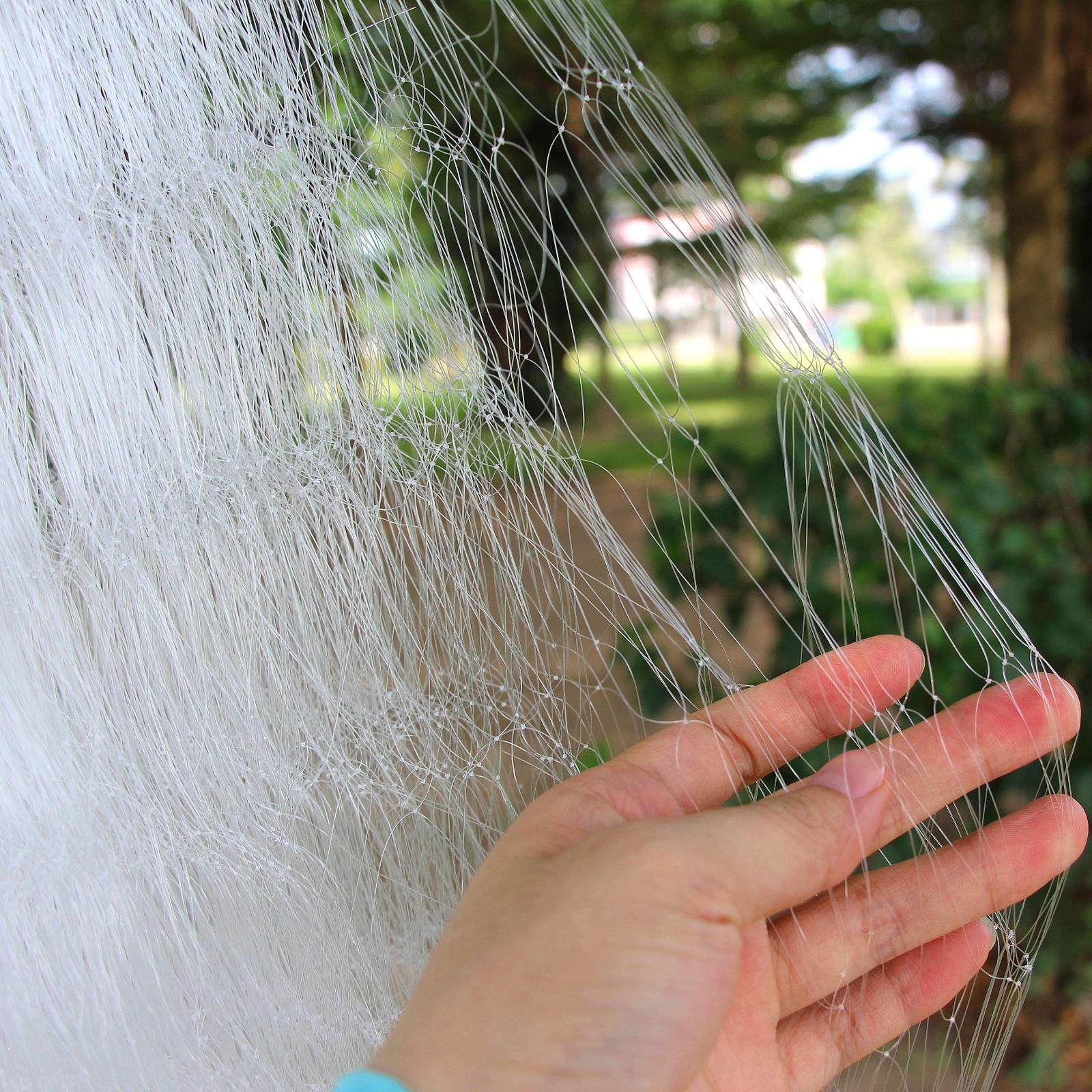 鱼网粘网三层渔网丝网捕鱼挂子网鲫鱼粘鱼浮网沉网进口沾丝100米