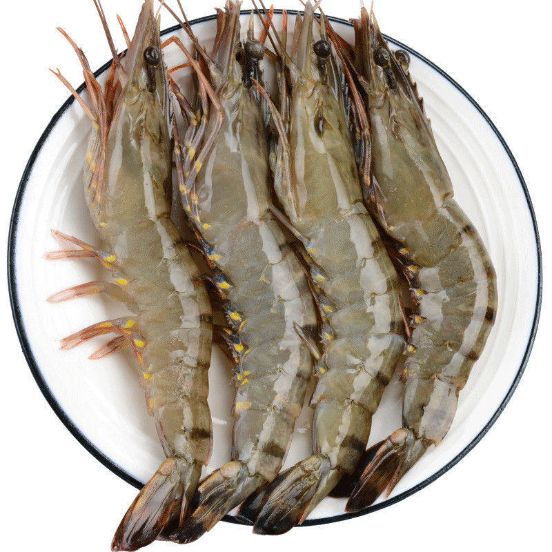 海鲜九节速冻水产虎虾虾冻虾鲜斑节超大鲜活冻虾