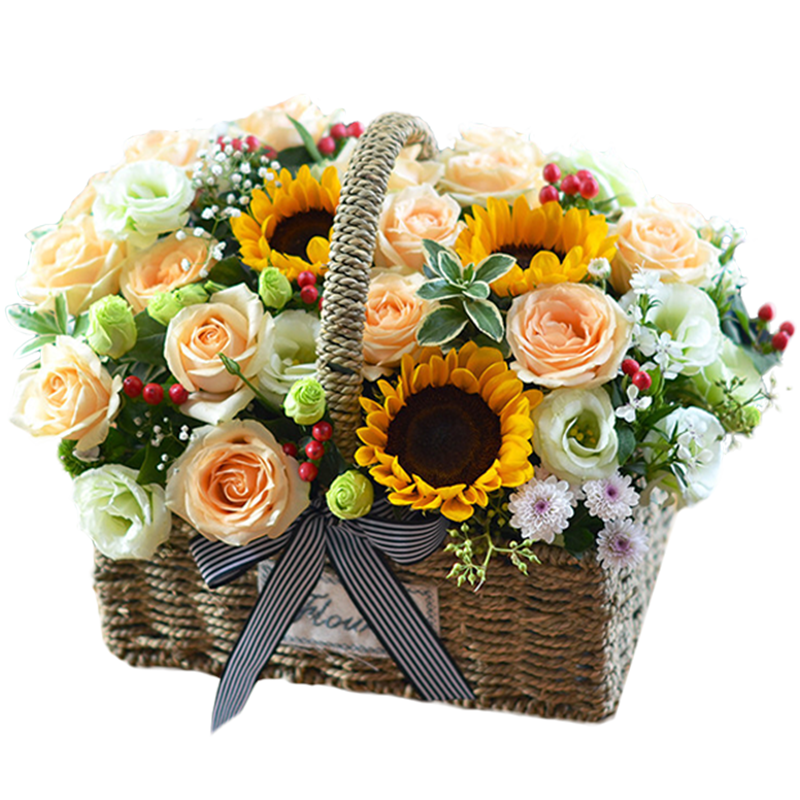 开业乔迁手提花篮同城鲜花速递花束天津广州南京鲜花速递同城