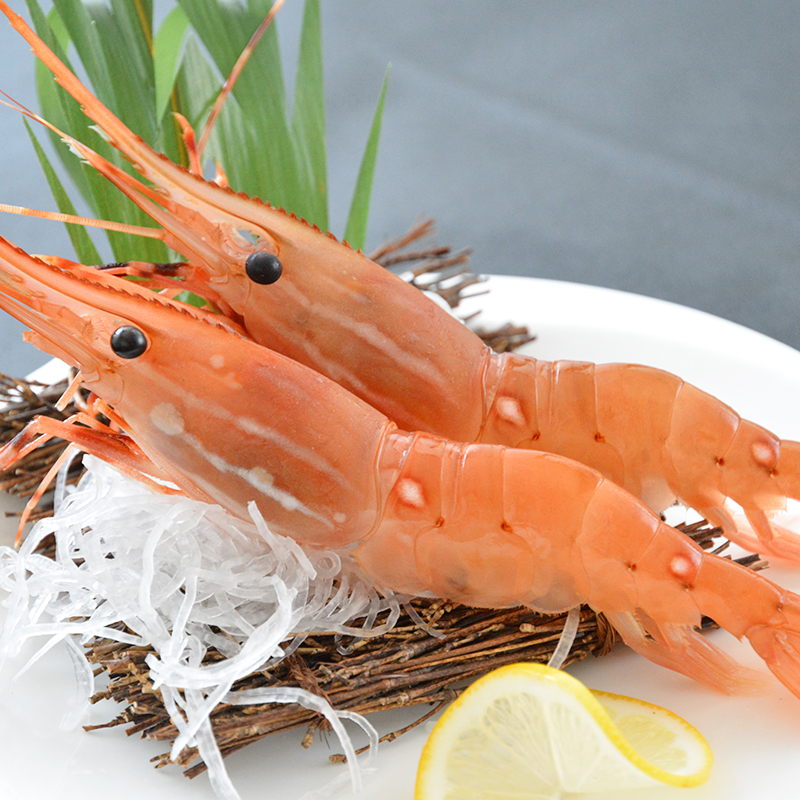 加拿大牡丹虾 特大鲜活刺身即食寿司食材日本料理 20