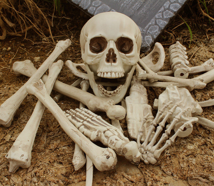 万圣节骨头包仿真头骨骷髅头道具人体骨骼夜光骨架1:1人形骨头万圣节