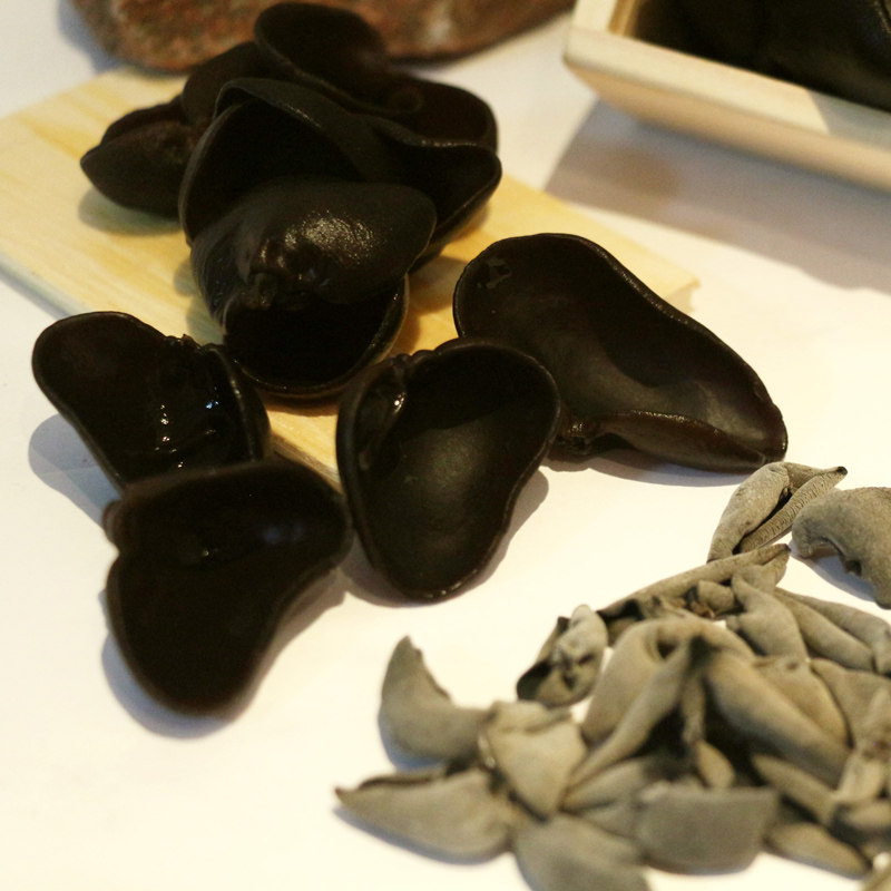 长白山老鼠耳500g新货小碗耳东北特产黑木耳椴木耳干货野生秋木耳