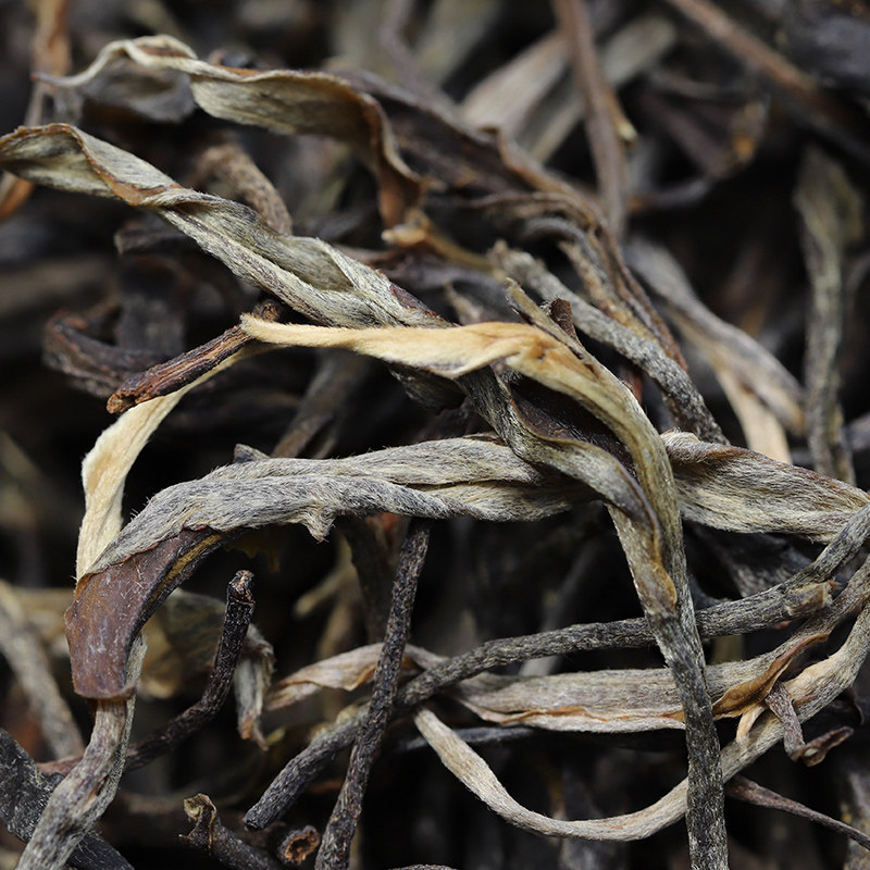 抢购广别生茶普洱茶云南头春大树荒山老寨购买普洱