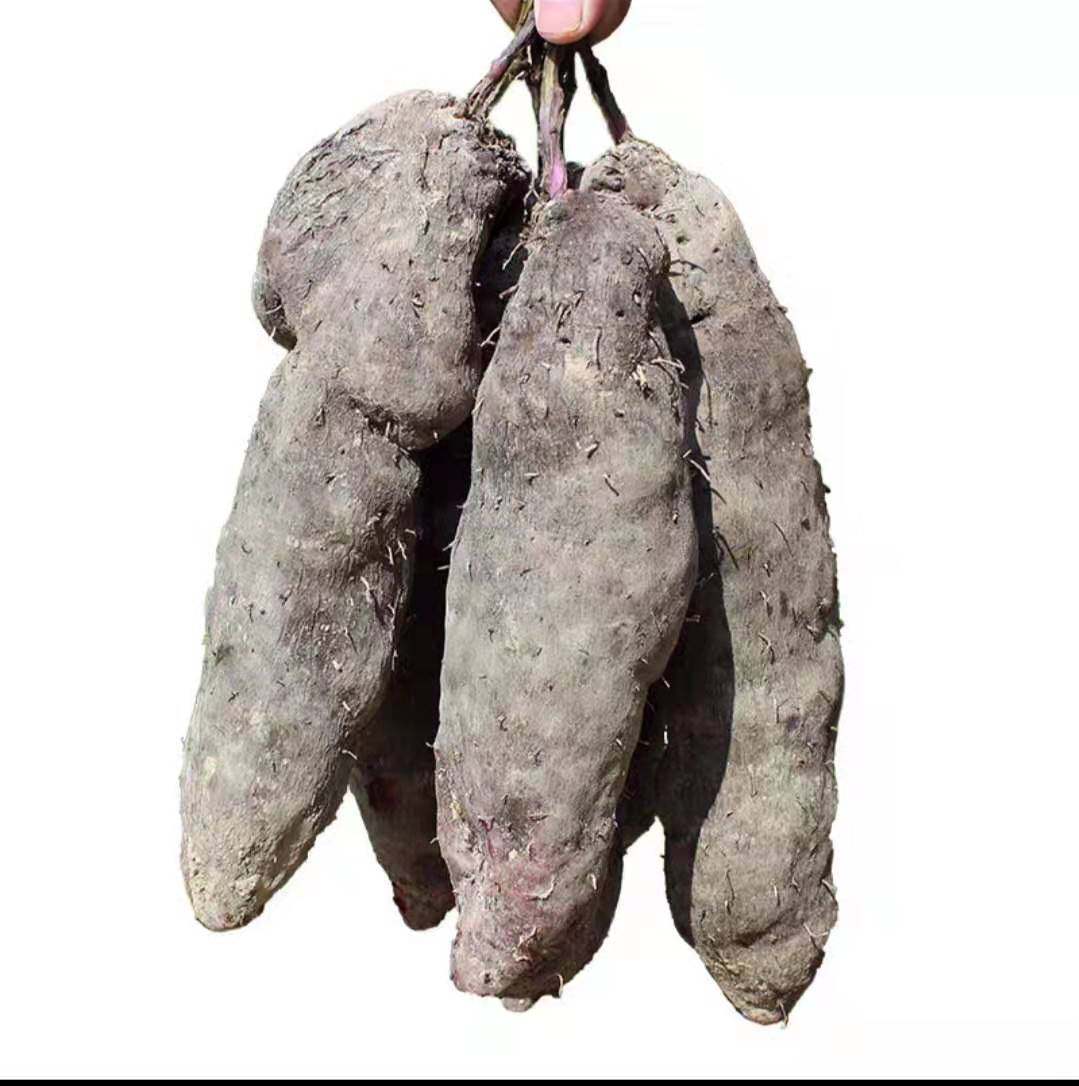山药新鲜现挖江西农家脚板紫玉淮山紫薯毛薯大新鲜山药