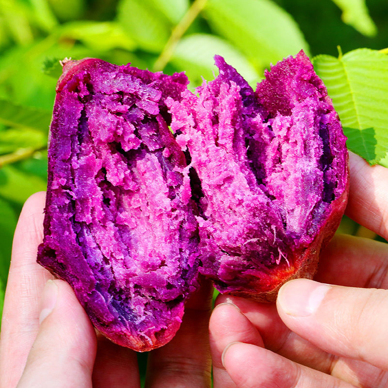 紫薯新鲜沙地紫心宝宝食用农产品软糯地瓜紫色番薯