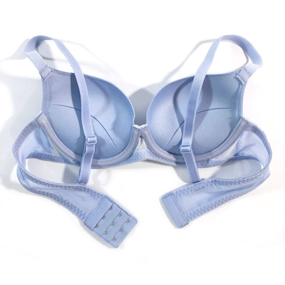 专柜正品安莉芳女士上薄下厚杯涤纶聚拢上托蕾丝文胸内衣ebw0018