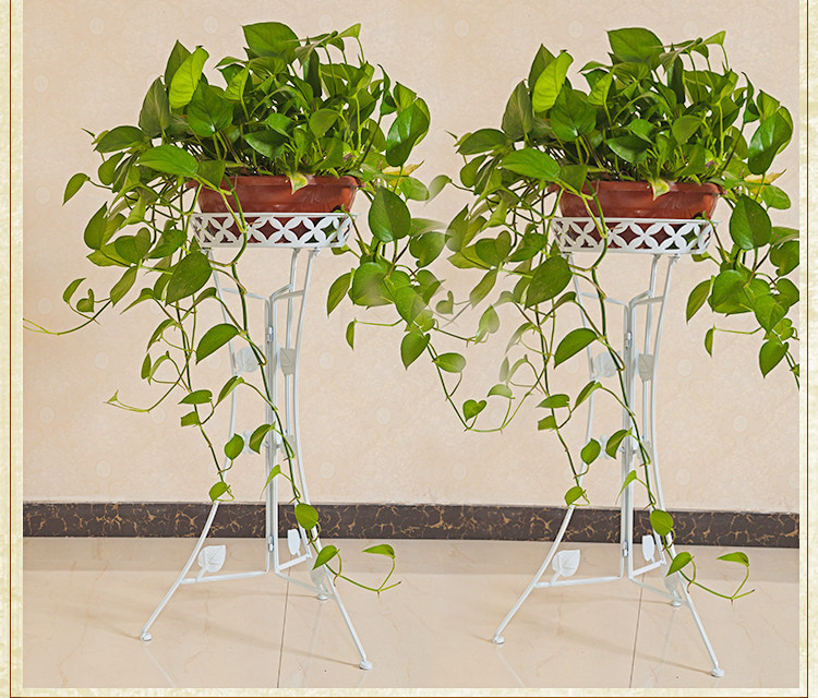 绿萝花架铁艺落地单层墙角开业花盆盆架吊兰花架