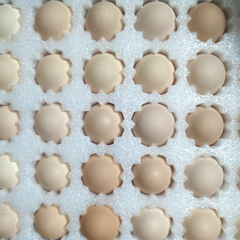 顺心珍珠棉土鸡蛋鸭蛋防震抗摔五层加厚50枚野餐篮