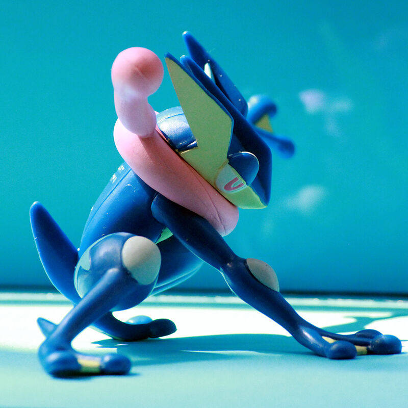 正版tomy精灵宝可梦手办模型神奇宝贝下蹲甲贺忍蛙摆件