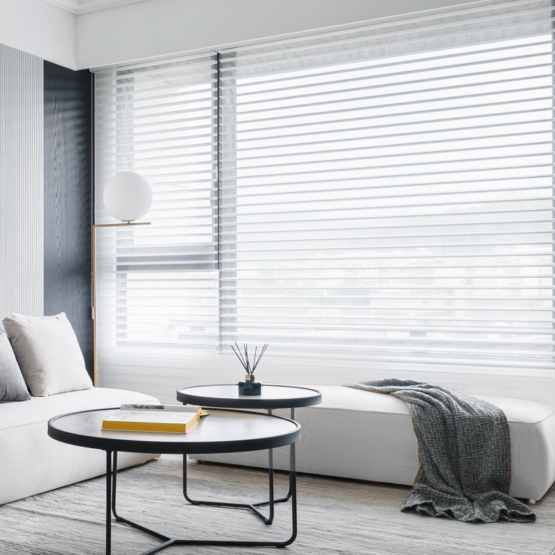 德国布百叶办公室客厅百叶拉绳静音面料百叶帘