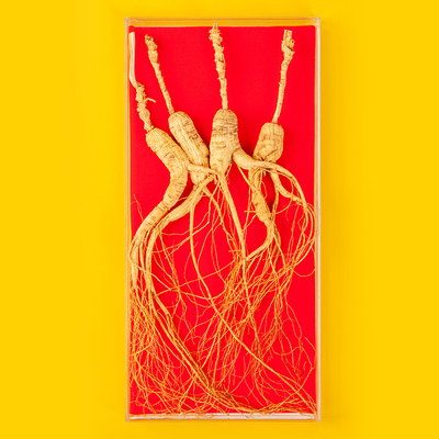 味道年生晒林下山长白山桓仁野生人参干参礼盒东北煲汤山参