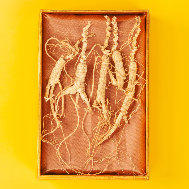 东北人参泡野山桓仁老干人参20克东北味道下山山参