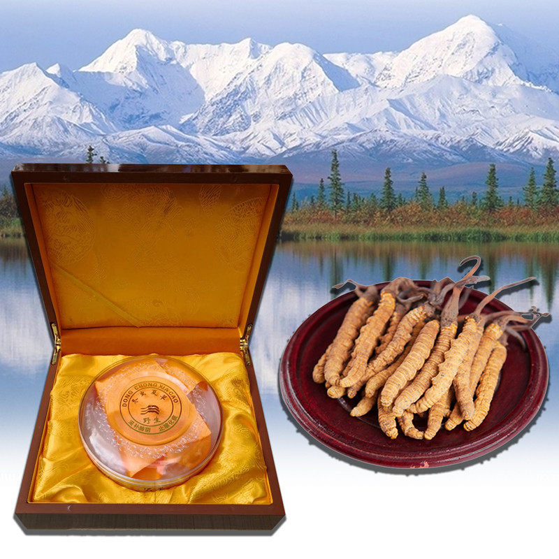 【6g礼盒装】西藏冬从夏草正品极草5x冬虫夏草野生泡酒干草烟那曲