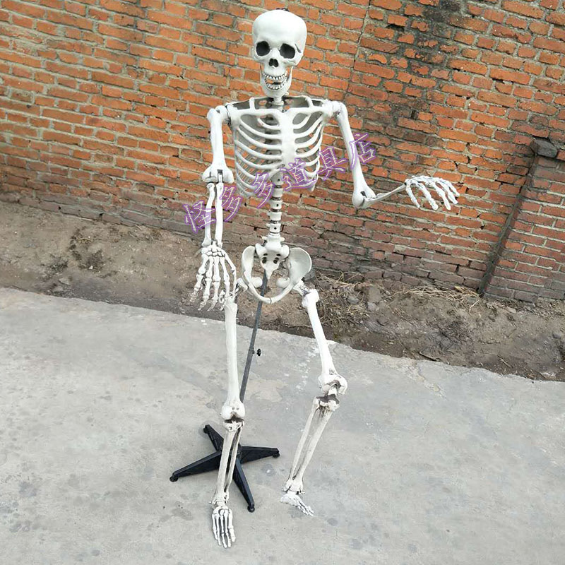 万圣节装饰品骷髅骨架模型密室鬼屋恐怖道具仿真吓人骨头玩具吊鬼