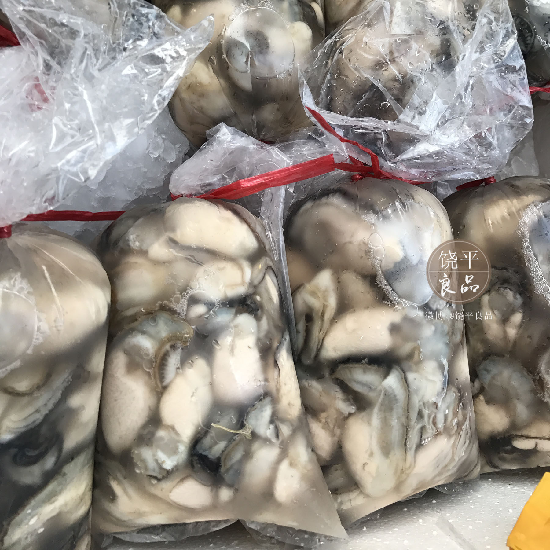 当天生蚝肉 珍珠蚝新鲜鲜活汫洲生蚝牡蛎 野生海蛎子省内4斤包邮