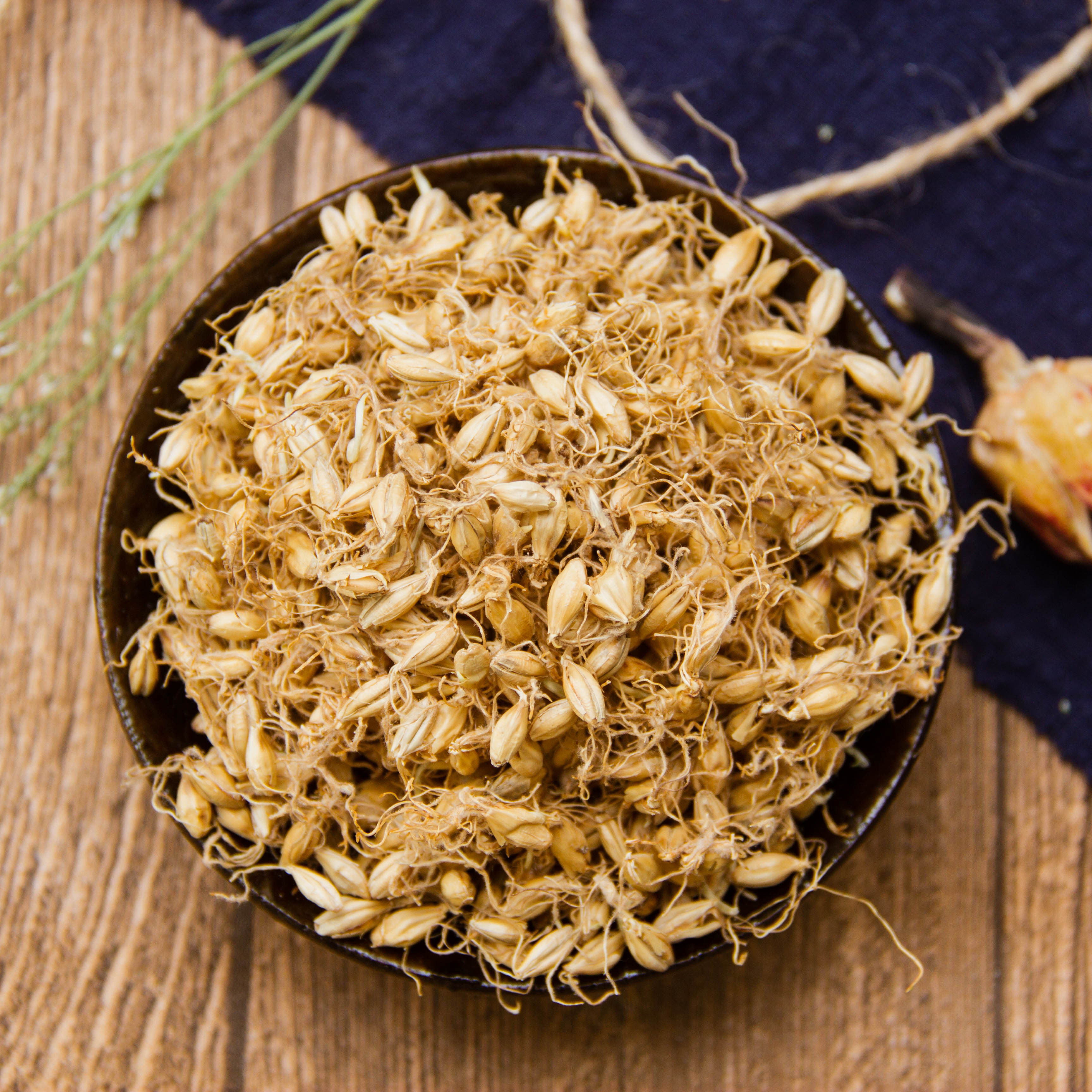 麦芽 生麦芽 中药材 大麦芽 麦牙茶500克 包邮 有炒麦芽 回奶