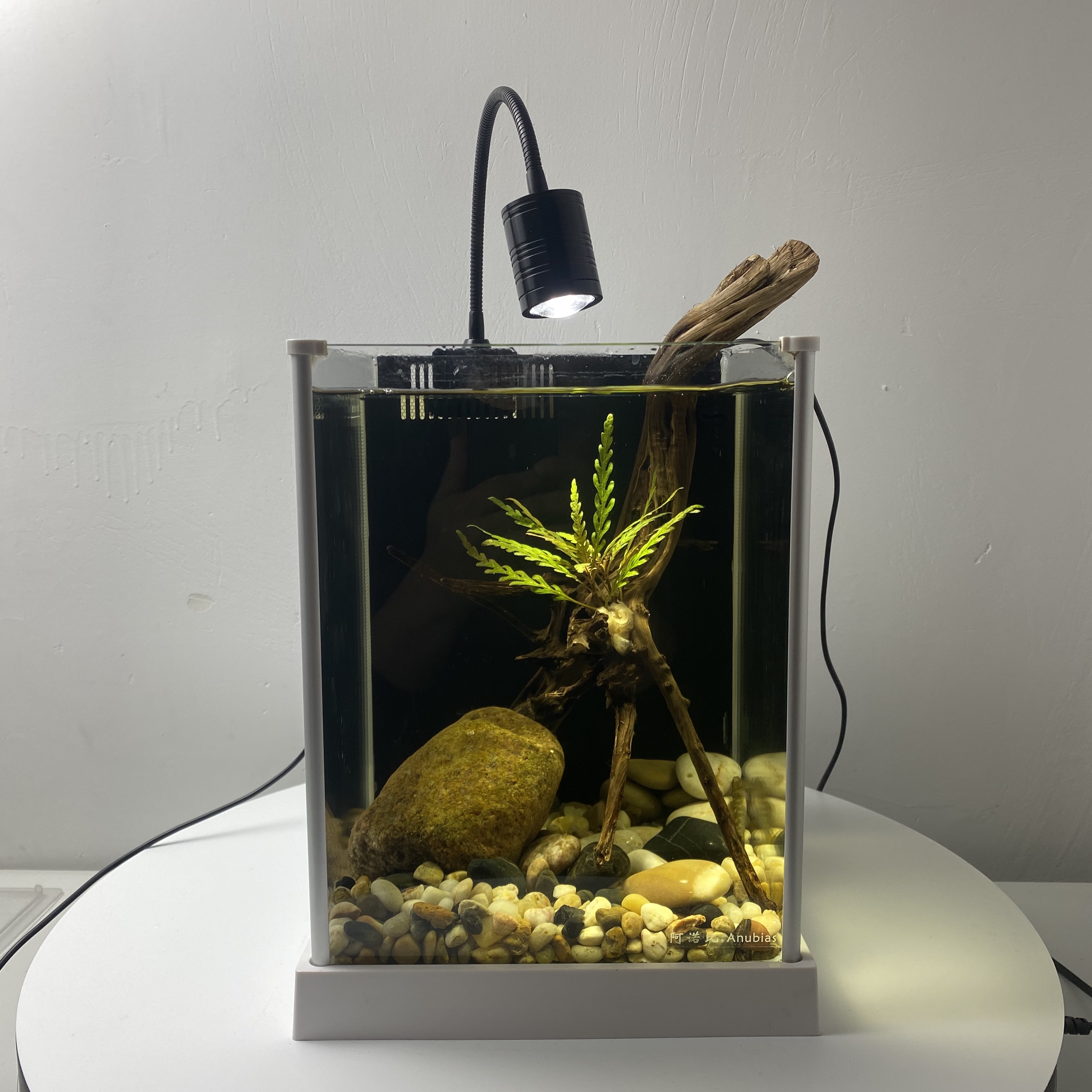 南美鱼缸射灯led观赏造景三湖原生鱼水水草照明器材