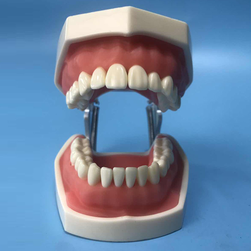 tn牙套矫正器透明隐形龅牙神器凸嘴纠正器防磨牙地包天牙齿矫正器