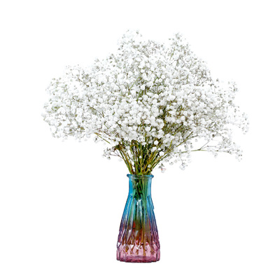 云南满天星干花 大花束真花 家居装饰摆设天然风多色混搭干带花瓶