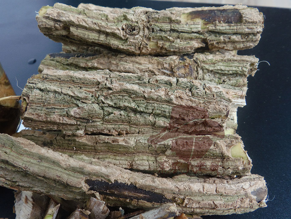 云南乌骨藤通关散通关藤大苦藤扁藤中草药野生药2019新采集包邮