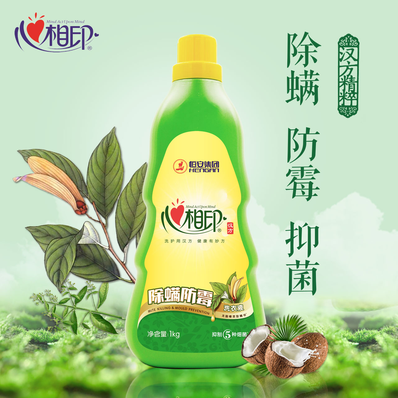 心相印阳光森林洗衣液瓶装除菌香味持久家庭促销组合装整箱批 - 心相