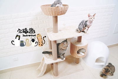 宅猫酱 不大不小的猫爬架 猫跳台 猫咪用品 剑麻柱 宠物用品
